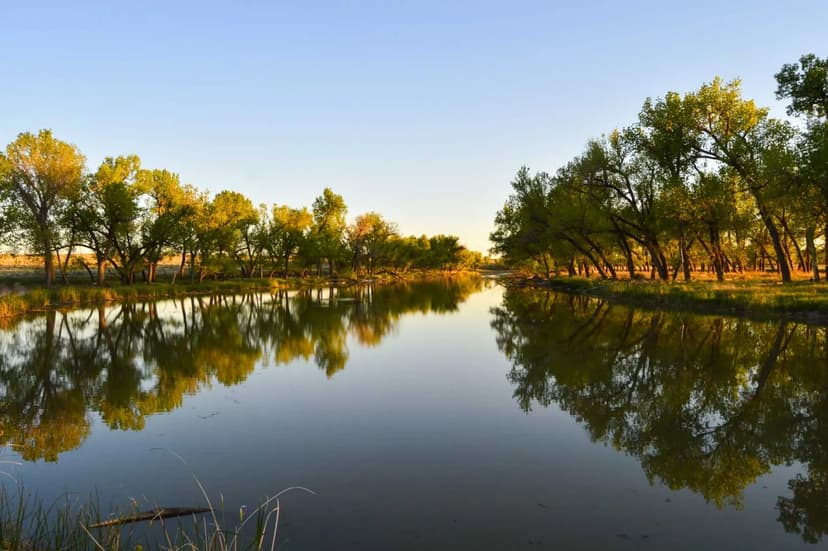 Freeman Family Ranches