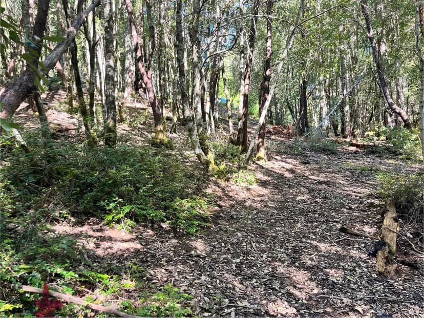 Lots & Land-Other in Willits