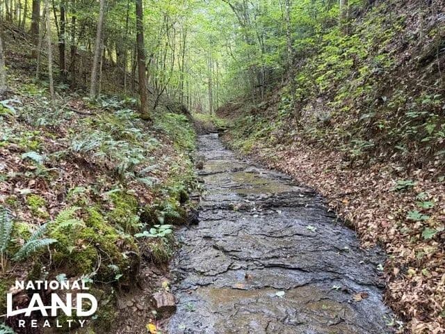 Glory Branch Getaway - Vancleve, Kentucky, 41385