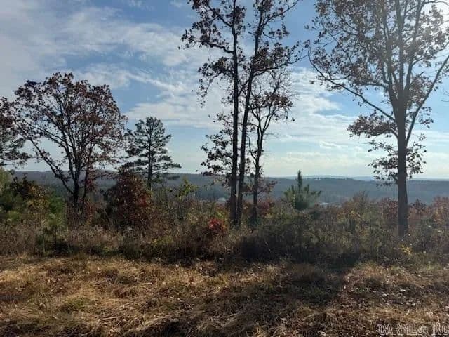 Lots & Land-Other in Conway - Conway, Arkansas, 72034