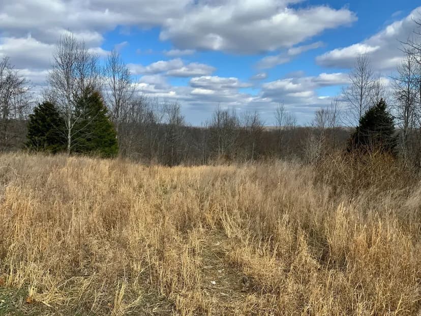 12.67 Acre Lot near Lake Barkley a Cross Creek National Wildlife Refuge