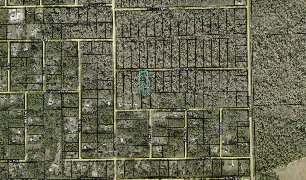 Vacant Land in Bunnell - Bunnell, Florida, 32110