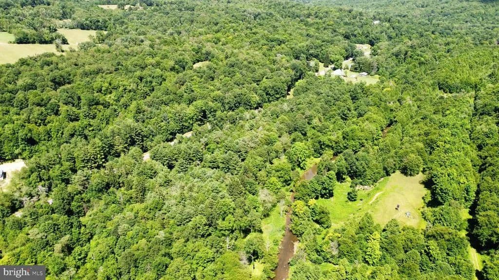 69.78 Acres of Land for Sale in Olanta, Pennsylvania - Olanta, Pennsylvania, 16863