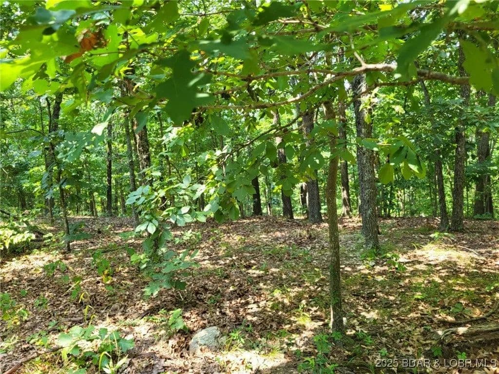 Lots & Land-Other in Edwards - Edwards, Missouri, 65326