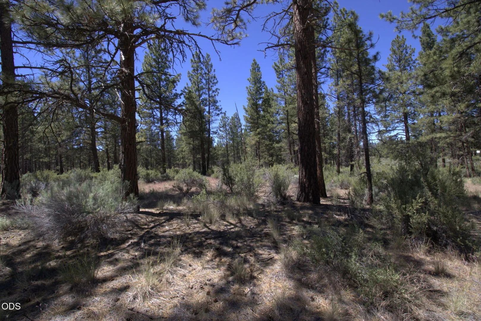 Lots & Land-Other in Sprague River - Sprague River, Oregon, 97639