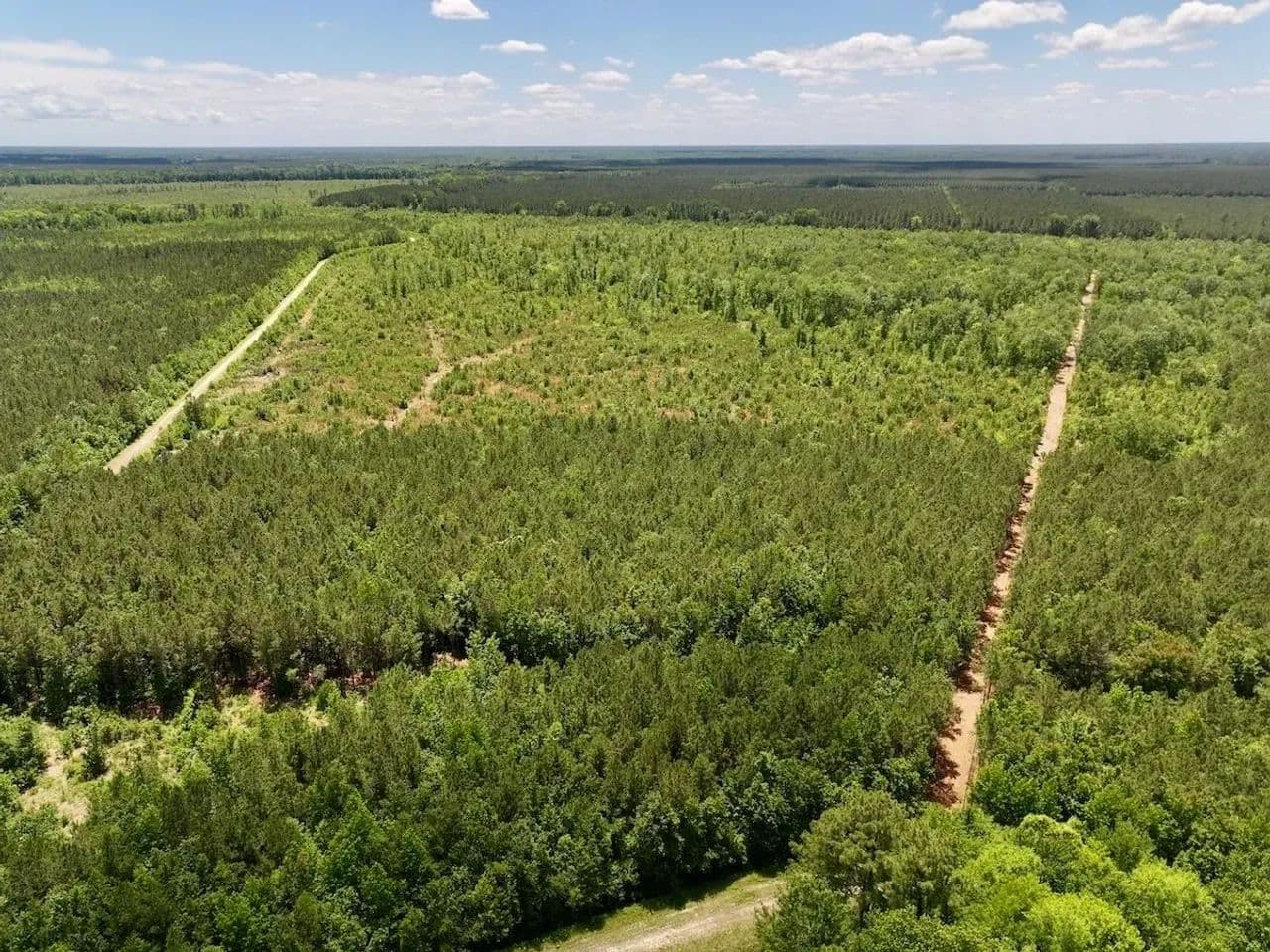 461.39 Acres of Hunting, Timber & Recreational Land for Sale in Eastern North Carolina! - Ernul, North Carolina, 28527