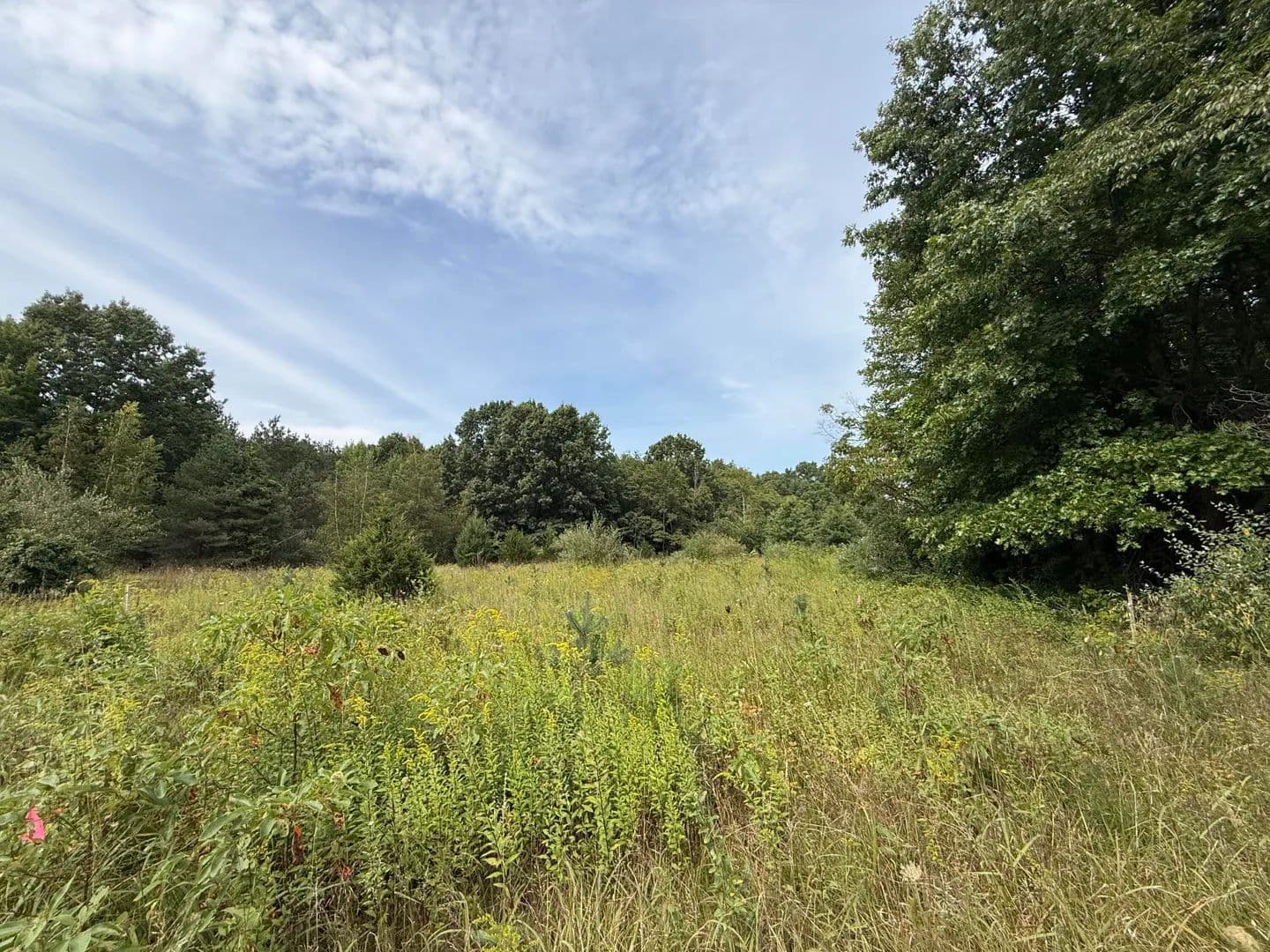 Vacant Land in Sawyer - Sawyer, Michigan, 49125