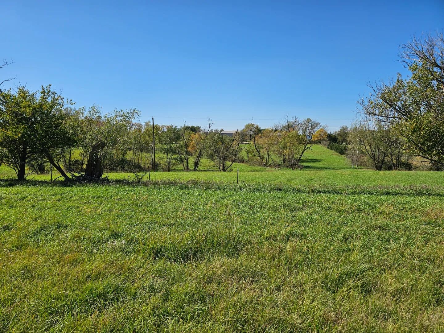 4 Acres- 5800 SW 56th Street, Denton, NE - Denton, Nebraska, 68523