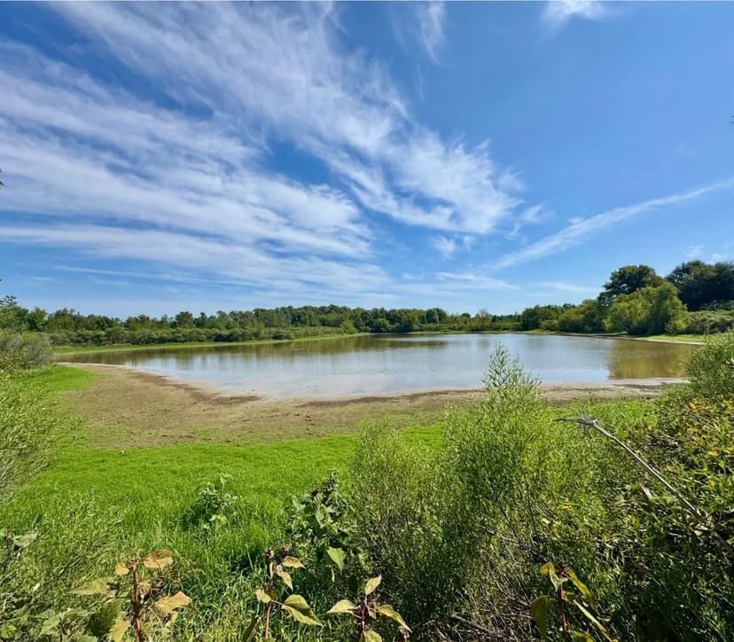 82 Acres in Tallahatchie County in Charleston, MS