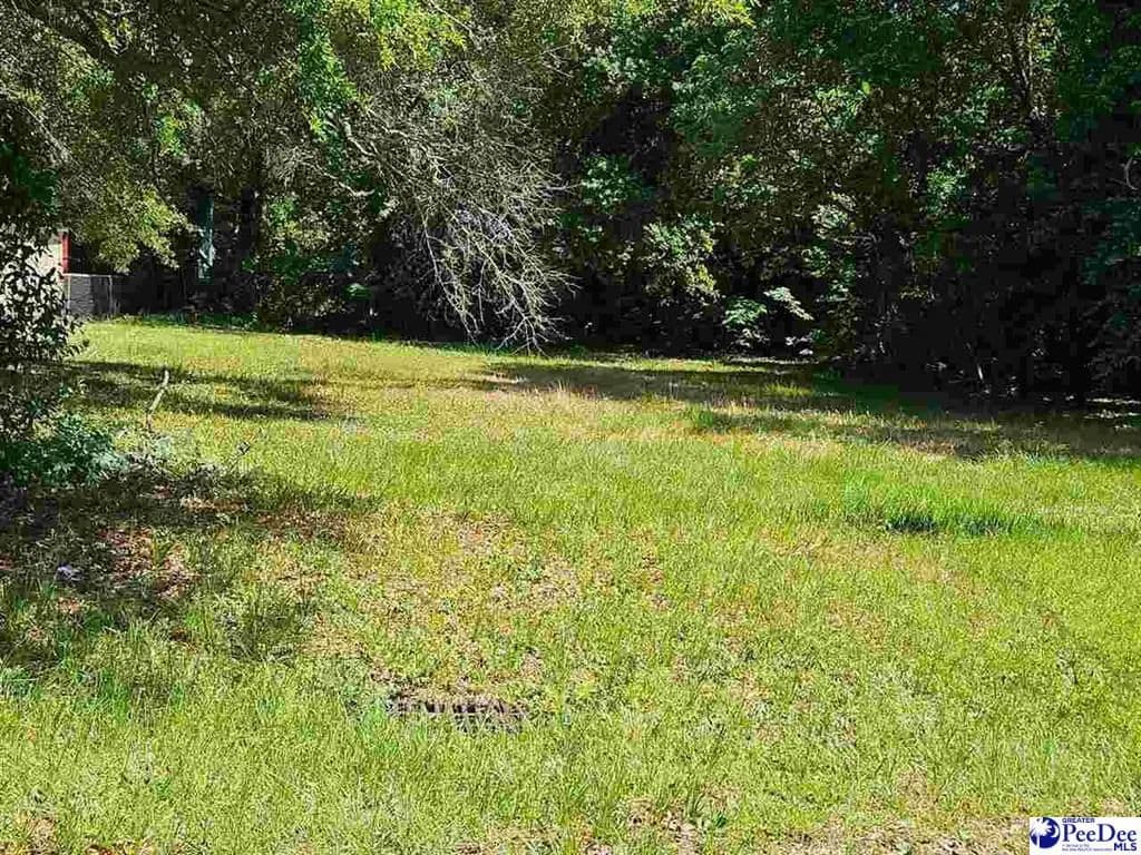Lots & Land-Other in Hartsville - Hartsville, South Carolina, 29550