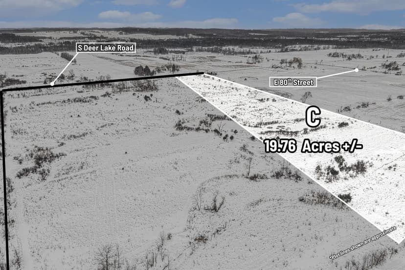 Lots & Land-Other in Reed City