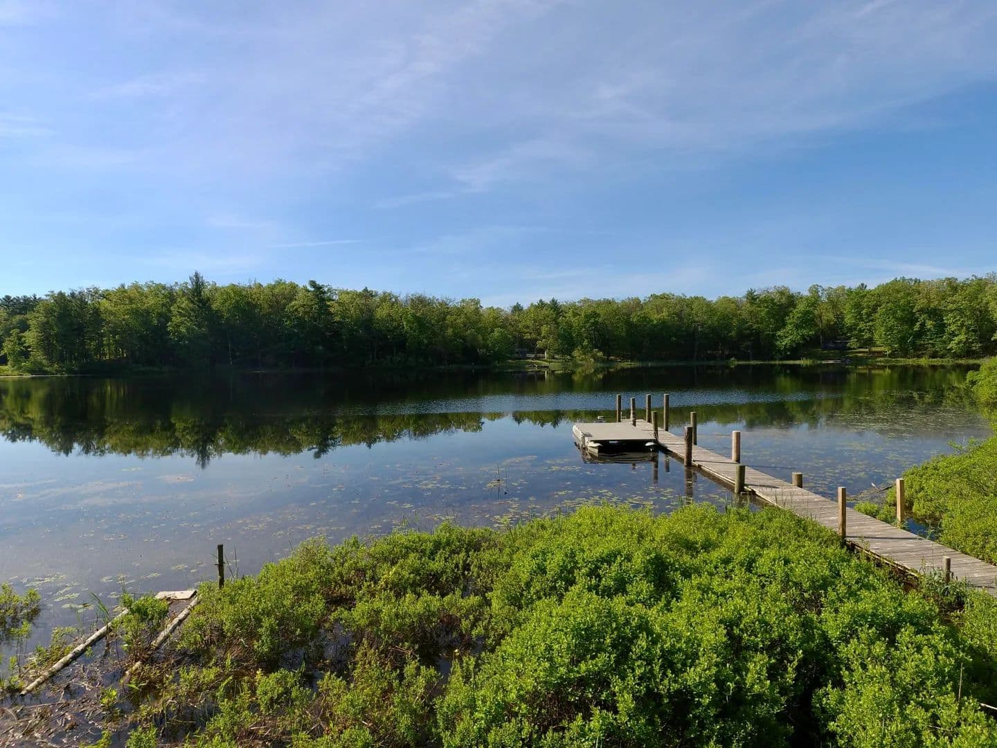 Property from 8100 N Marigold Avenue - KW - Bitely, Michigan, 49309