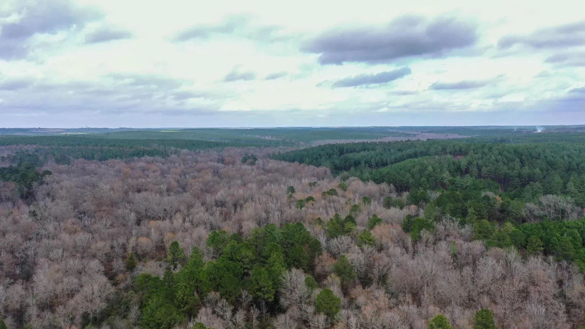Lots & Land-Other in Linden - Linden, Texas, 75563