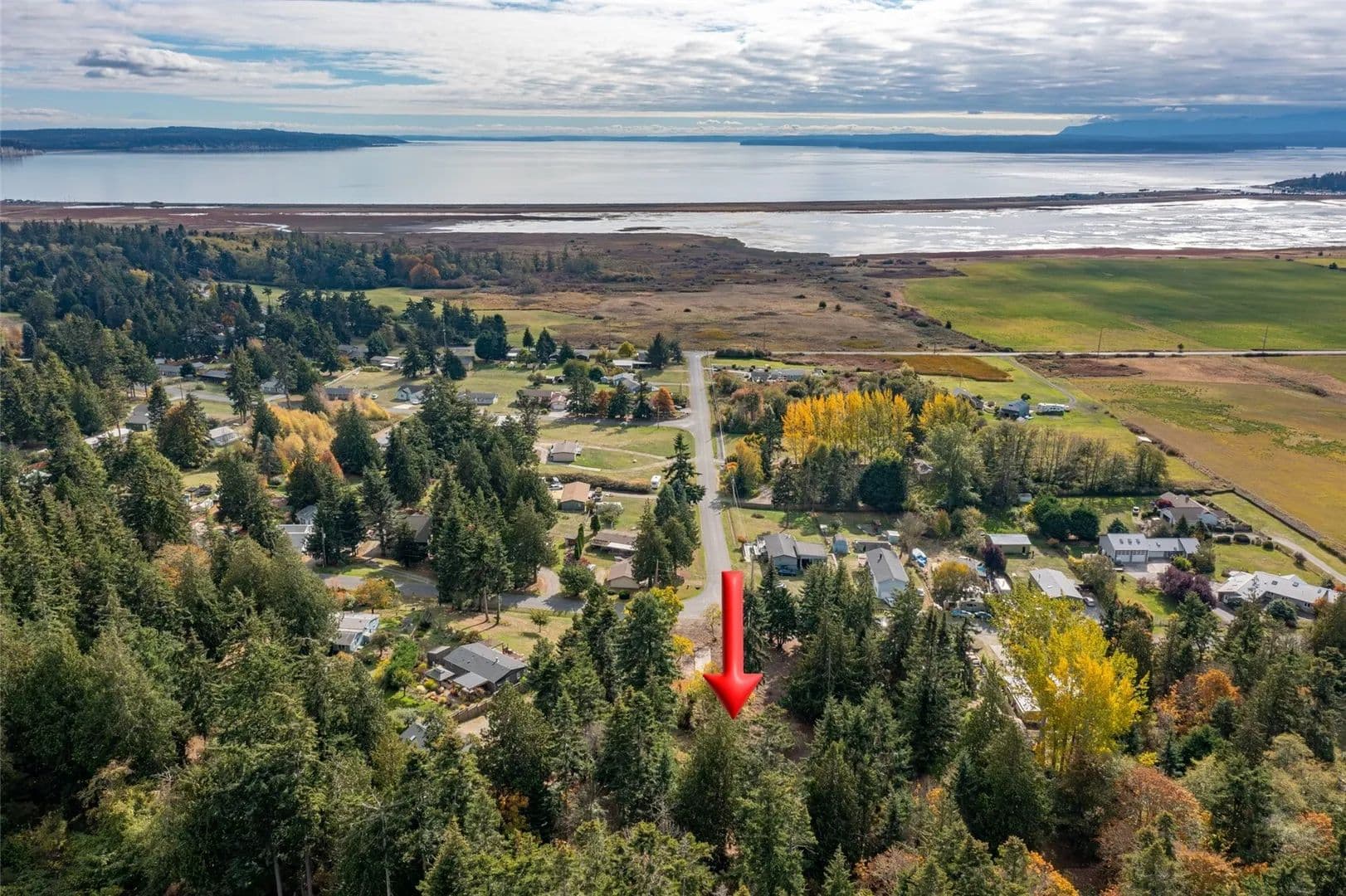 Vacant Land in Coupeville - Coupeville, Washington, 98277