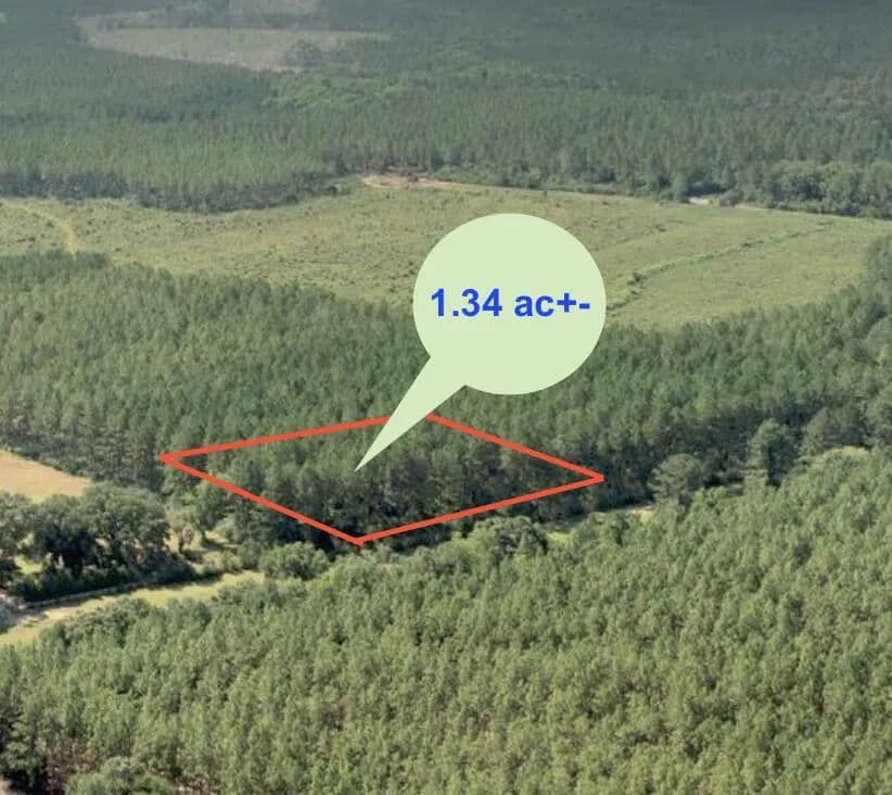 Vacant Land in Laurel Hill - Laurel Hill, Florida, 32567