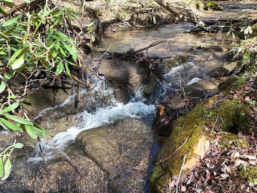 Lots & Land-Other in Mineral Bluff