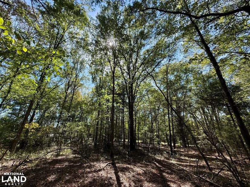 Liberty Highway Homesite