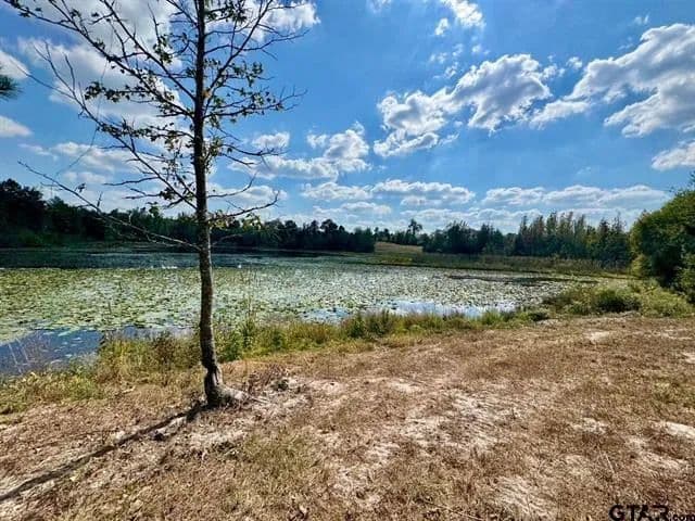 Vacant Land in Hawkins - Hawkins, Texas, 75765