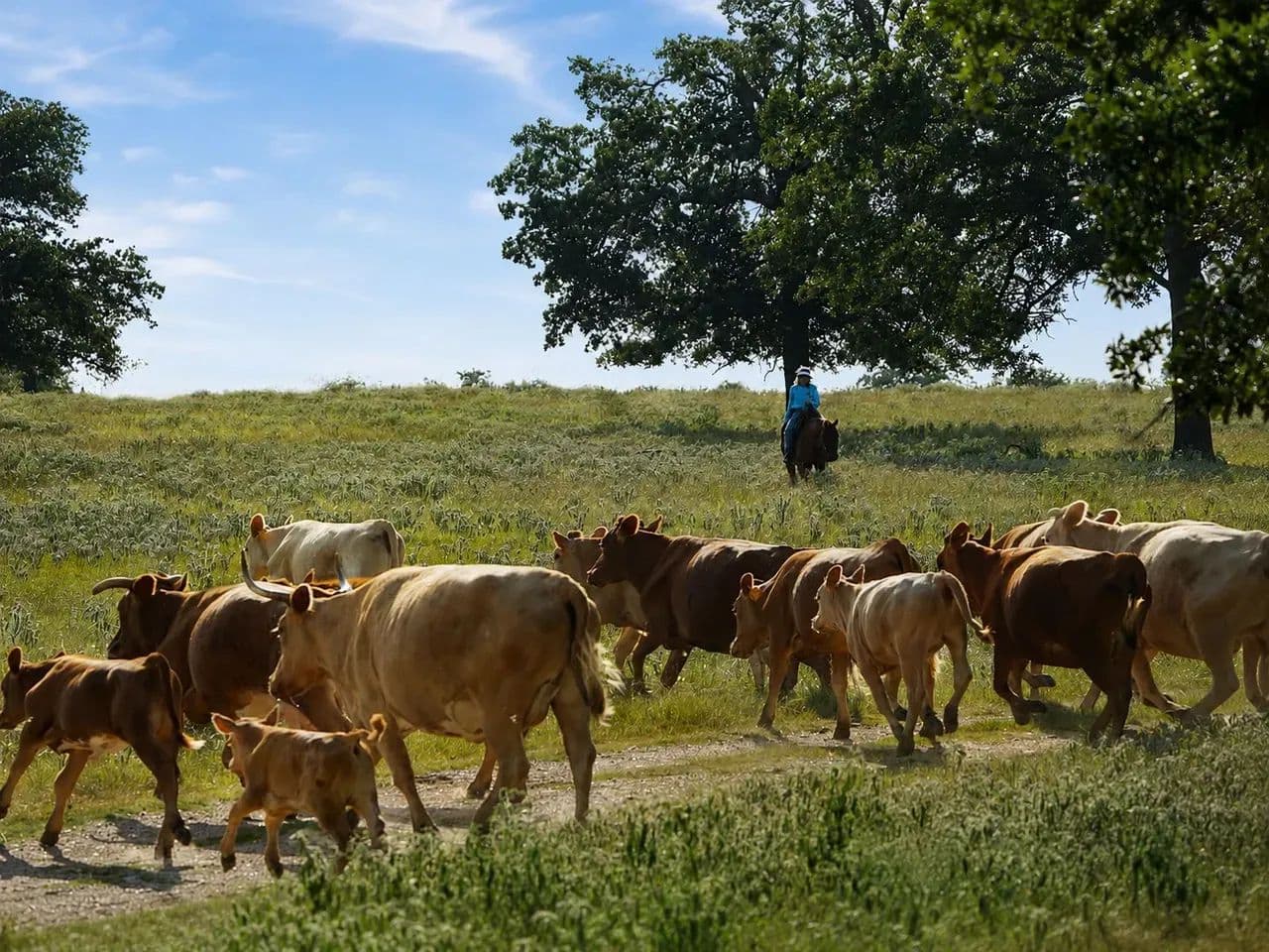 Angel Hand Ranch - Rosanky, Texas, 78953