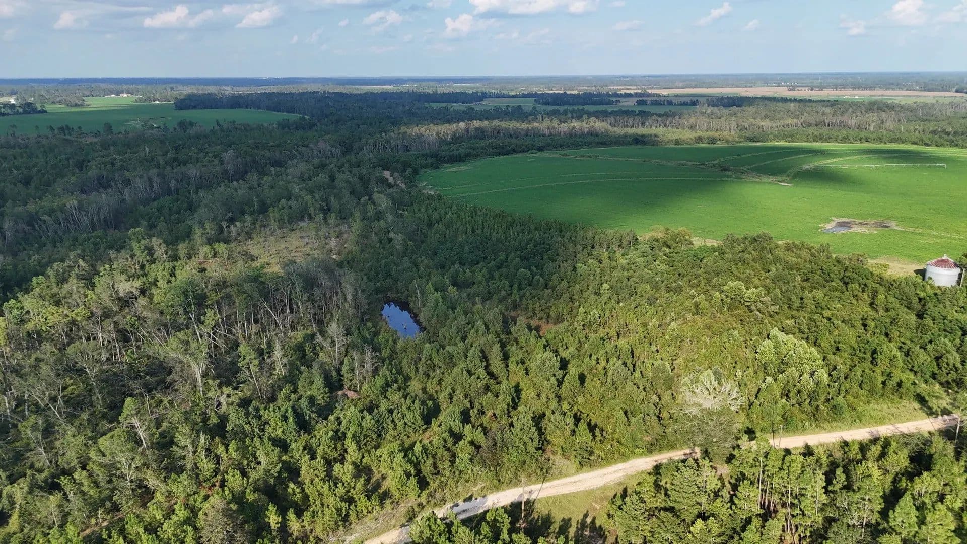 155 Acres of Land for Sale in Hazlehurst, GA - Hazlehurst, Georgia, 31539