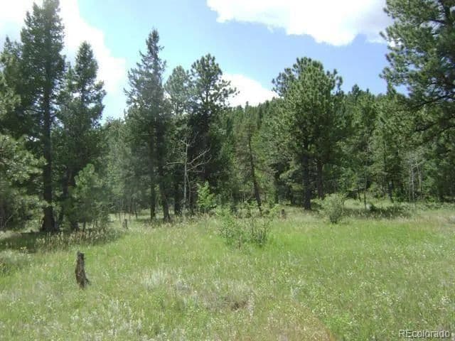 Vacant Land in Bailey - Bailey, Colorado, 80421