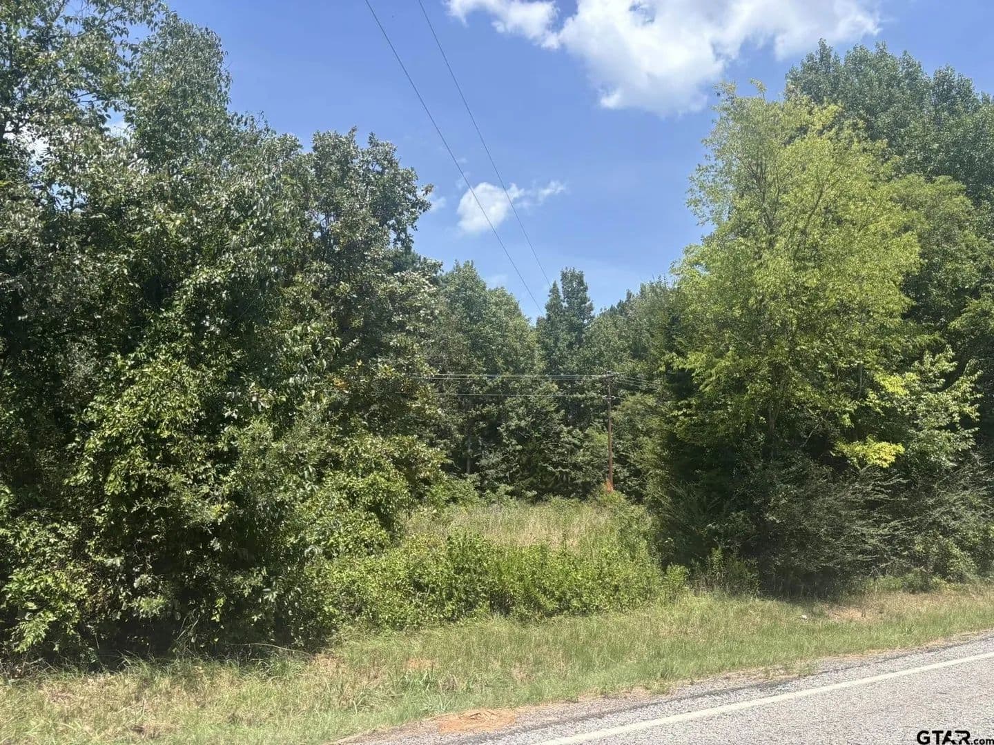 Lots & Land-Other in Pittsburg - Pittsburg, Texas, 75686