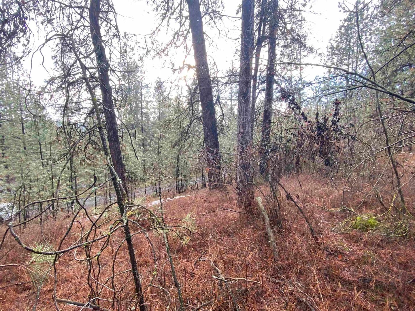 Vacant Land in Spokane - Spokane, Washington, 99224