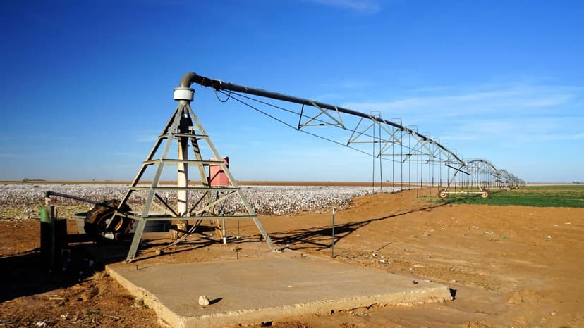 Irrigated Farm in Lamb County