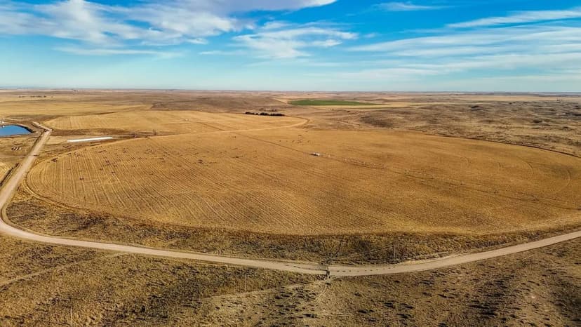 Dirks Irrigated/Dryland/Pasture Land Auction (Tract #9)
