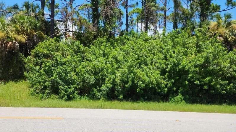 Vacant Land in Port Charlotte - Port Charlotte, Florida, 33954