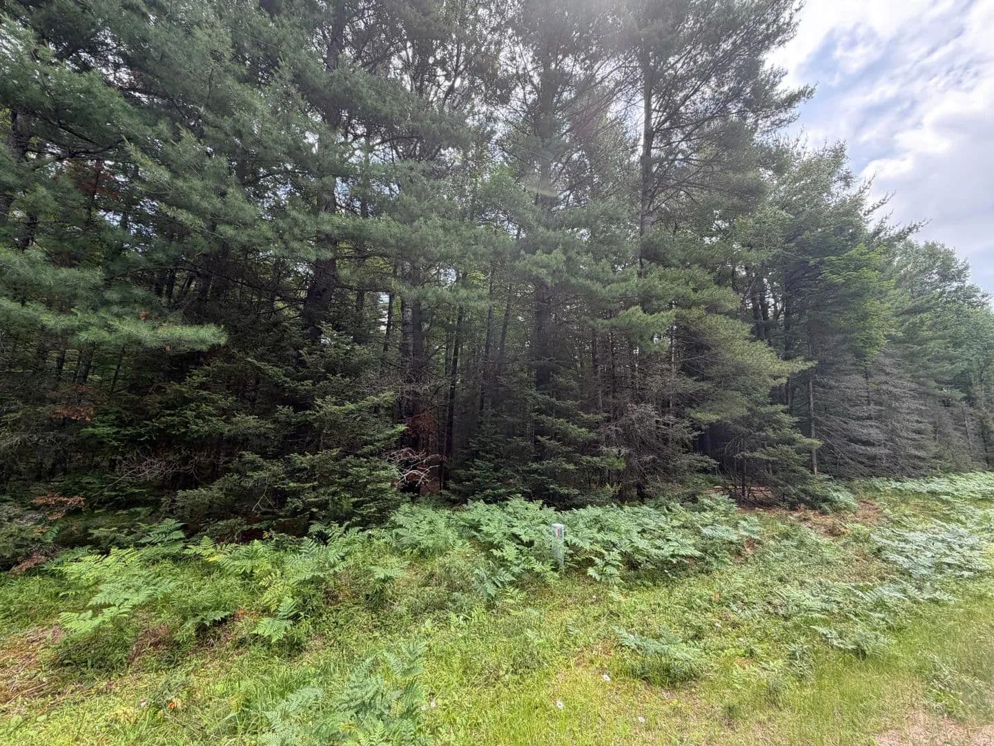 Vacant Land (0-10 Acres) in Eagle River - Eagle River, Wisconsin, 54521