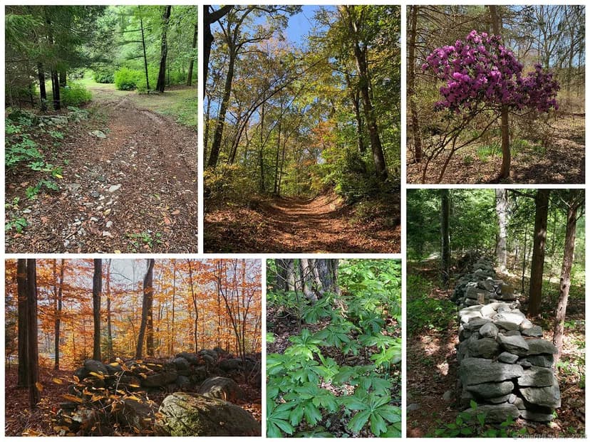 Vacant Land in Killingworth