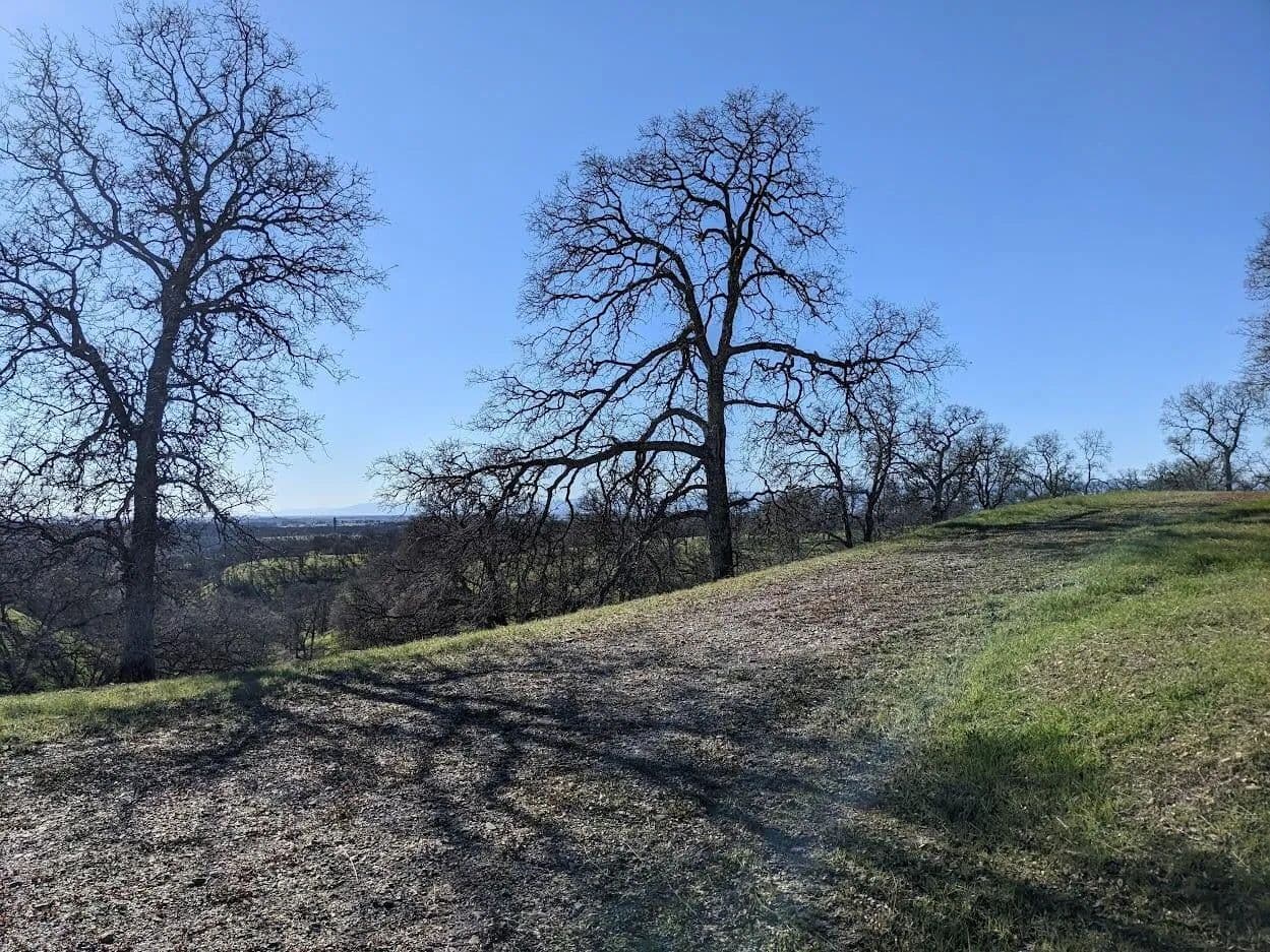 Lots & Land-Other in Red Bluff - Red Bluff, California, 96080