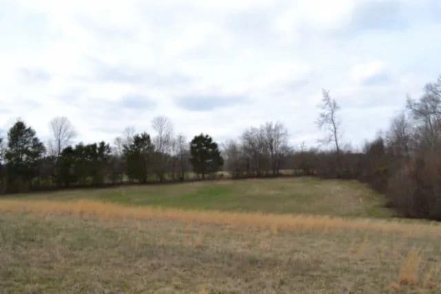 5+ AC – TOTALLY OPEN LEVEL – IDEAL BUILDING SITE – HORSE FRIENDLY - CLOSE TO CENTER HILL LAKE