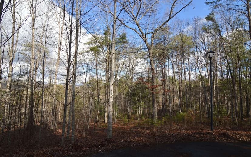 Lots & Land-Other in Blairsville