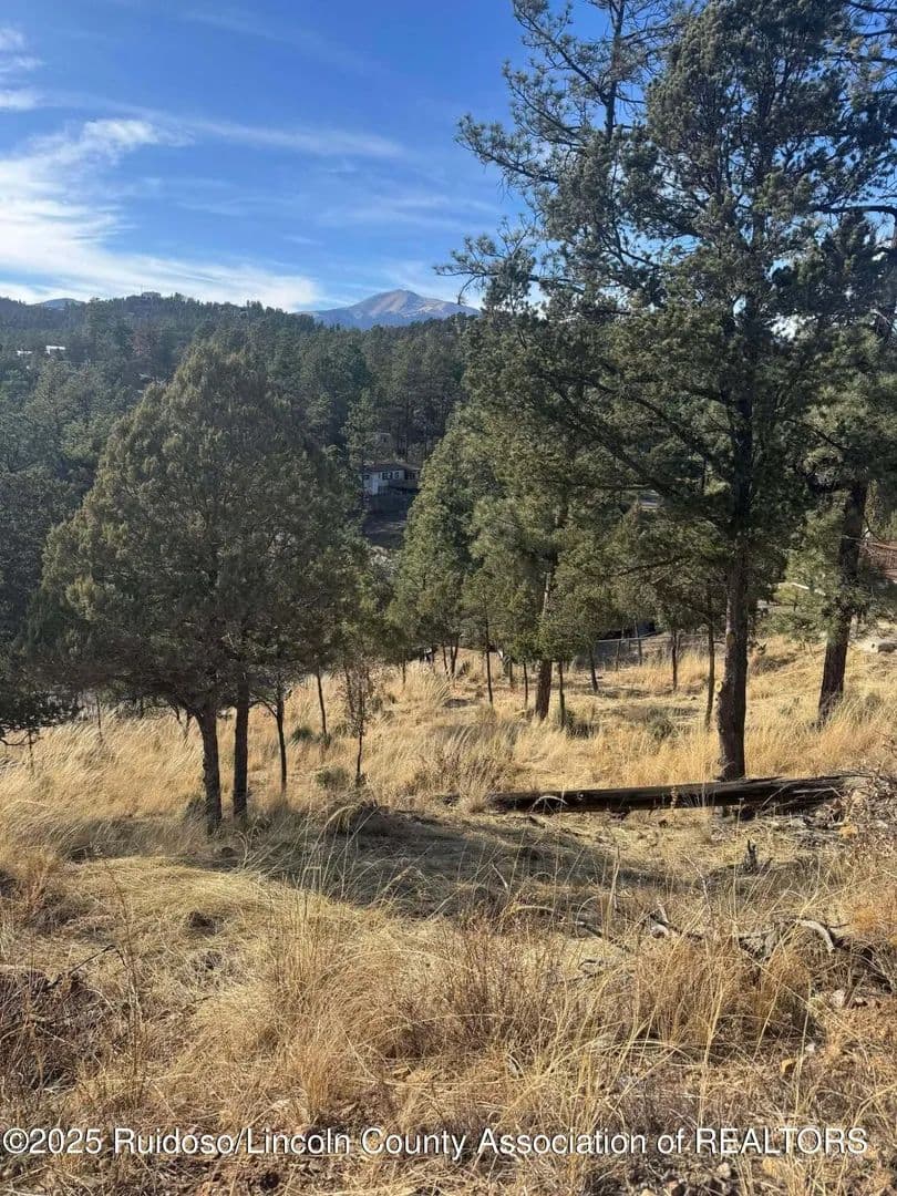 Lots & Land-Other in Ruidoso