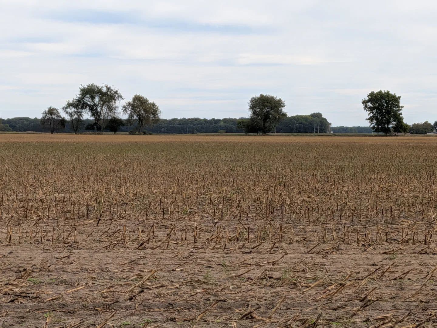 Vacant Land (10+ Acres) in Sumner - Sumner, Michigan, 48801