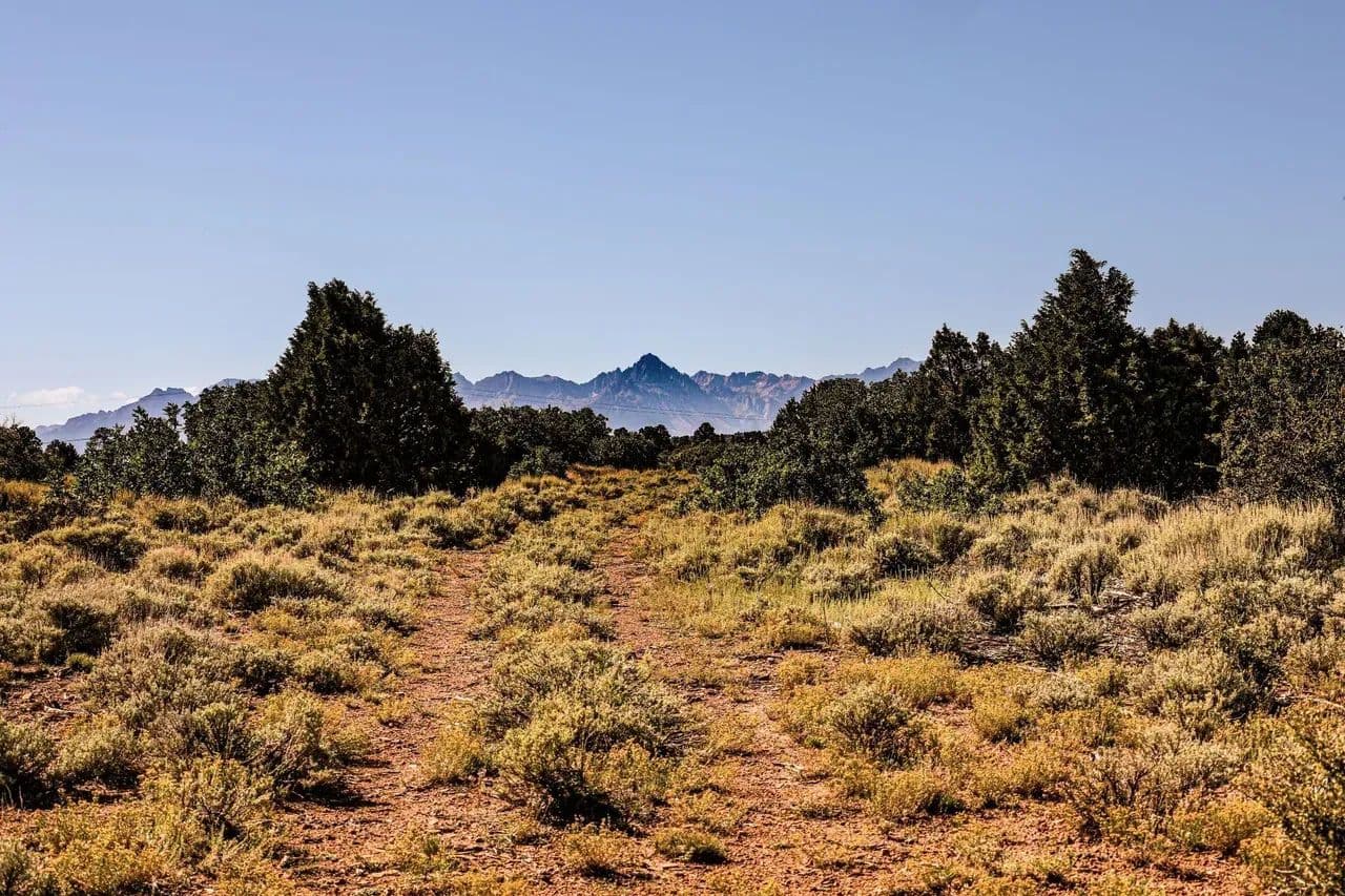 East Dolores Creek Ranch - Montrose, Colorado, 81403