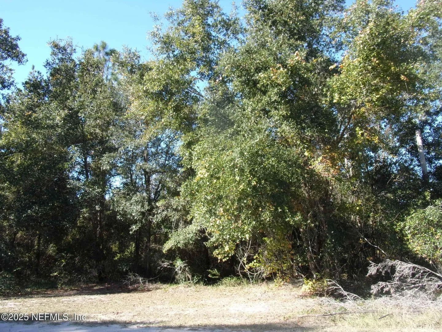 Lots & Land-Other in Crescent City - Crescent City, Florida, 32112