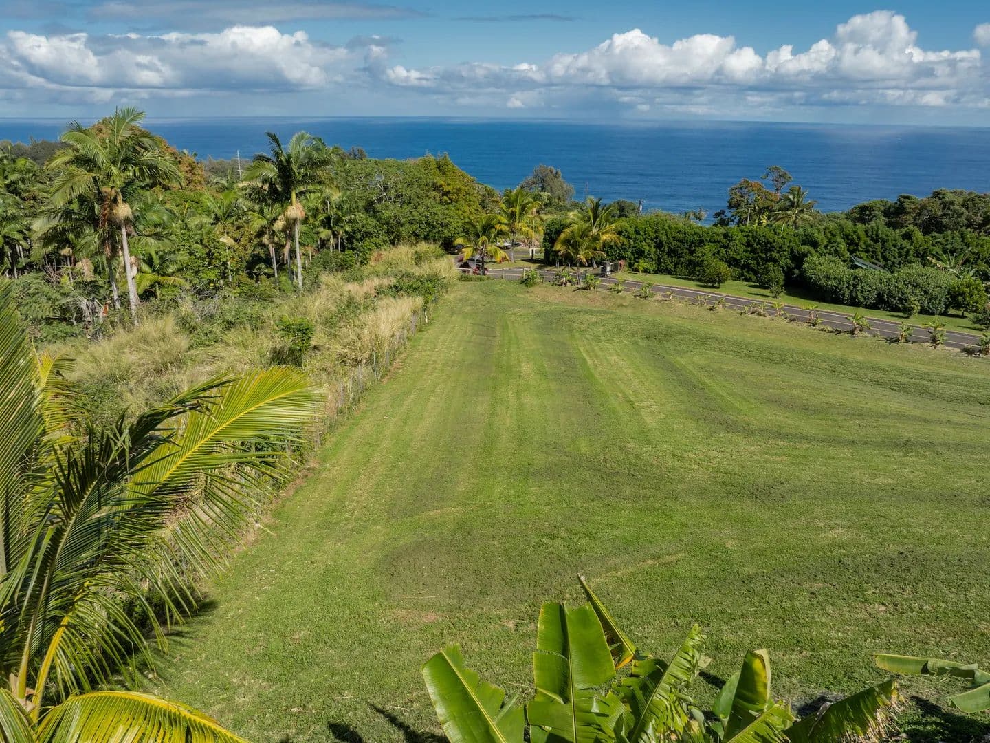 Vacant Land in Laupahoehoe - Laupahoehoe, Hawaii, 96764