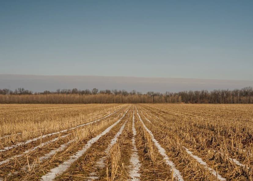 510 Acres in Jefferson County, AR 