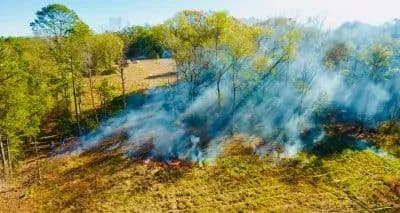 30A Beaches Country Retreat