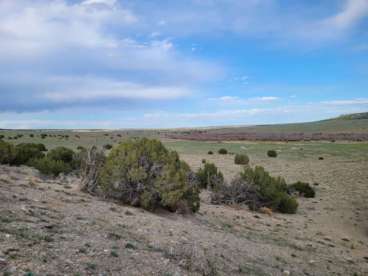 Lot 21 Ghost River Ranch 21, Walsenburg, CO 81089 - Walsenburg, Colorado, 81089