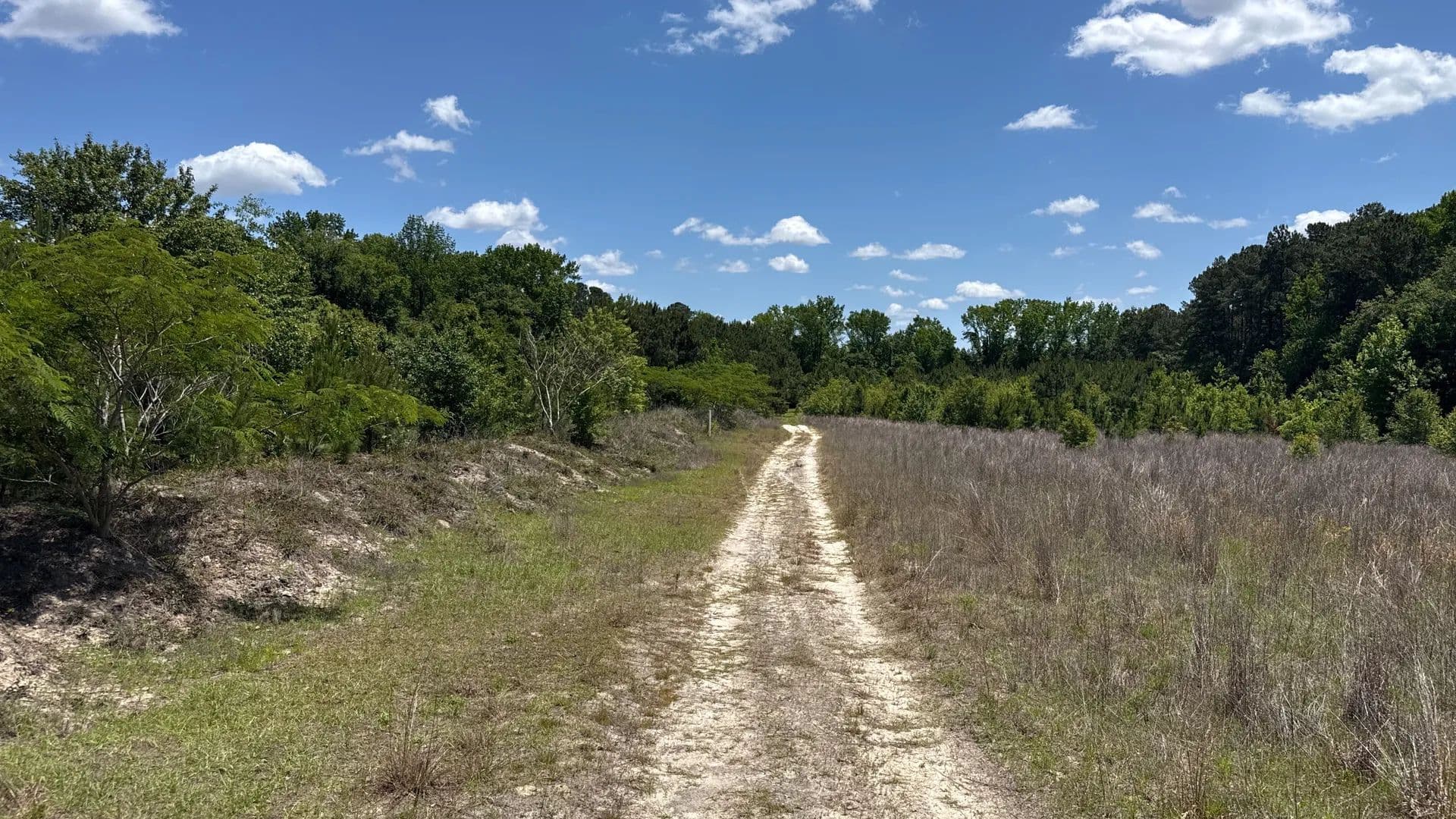 Land -Agricultural (Not Zoned) in Red Springs - Red Springs, North Carolina, 28377