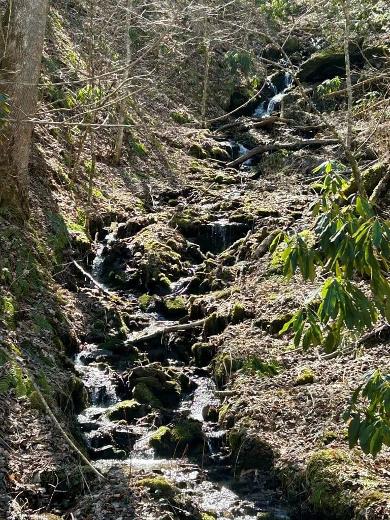 Property from 0 Wild Turkey Drive - KW