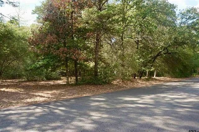 Vacant Land in Holly Lake Ranch - Holly Lake Ranch, Texas, 75765