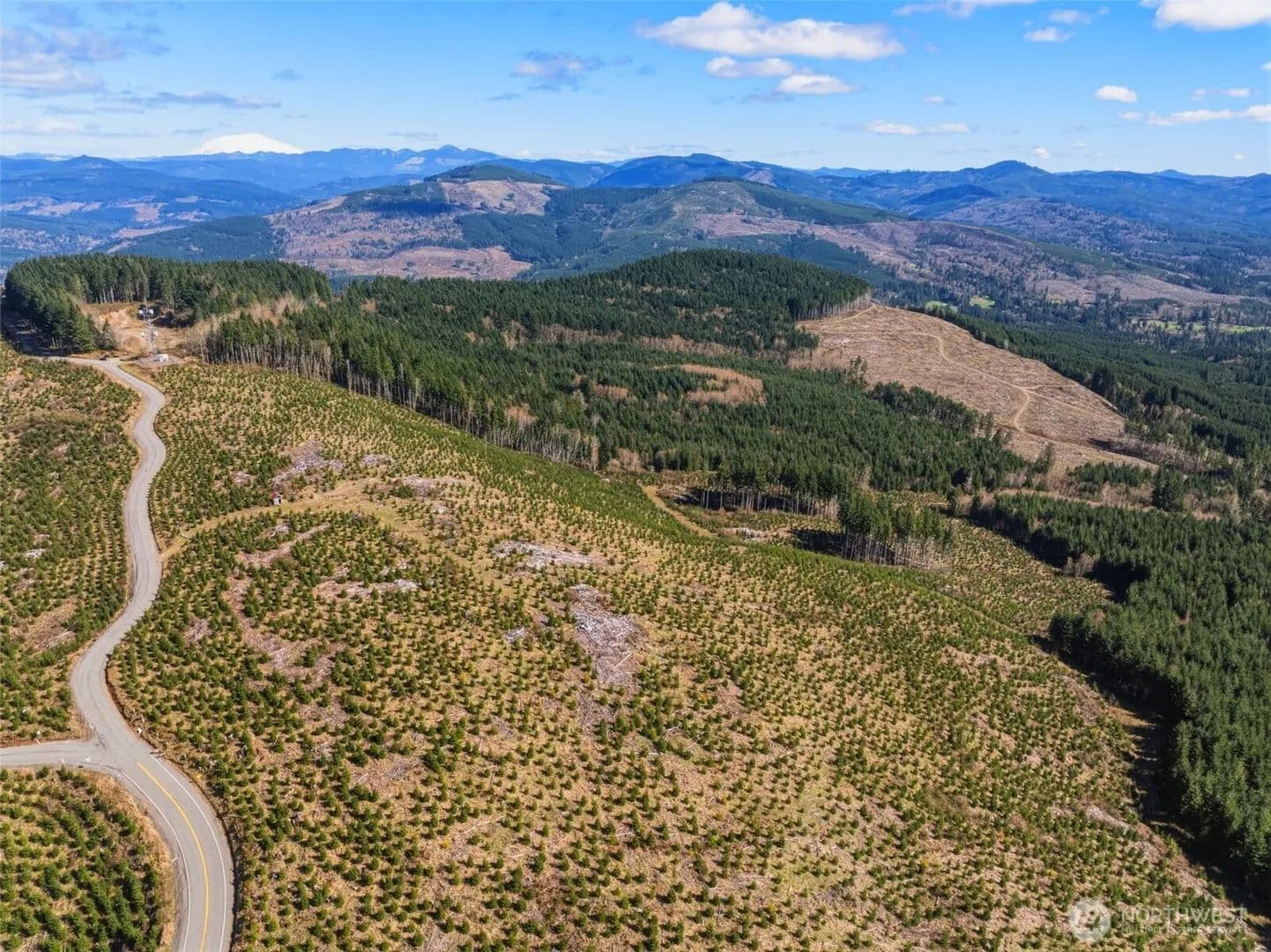 Vacant Land in Kelso - Kelso, Washington, 98626