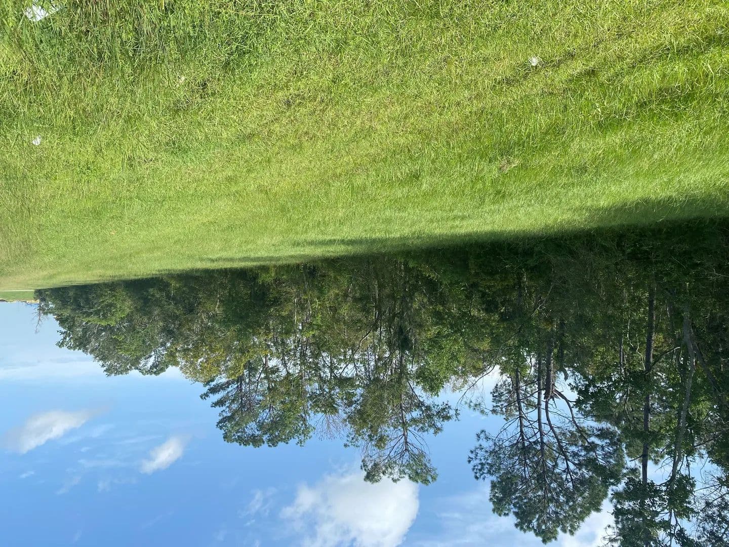 Land -Agricultural (Not Zoned) in Vinton - Vinton, Louisiana, 70668