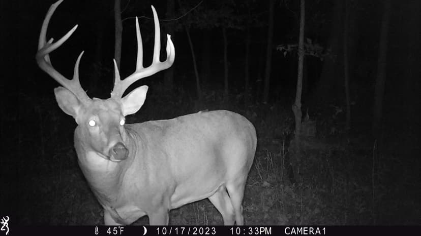 Exceptional 308± Acre Property for Income, Hunting, & Family Retreat for Sale – Bond County