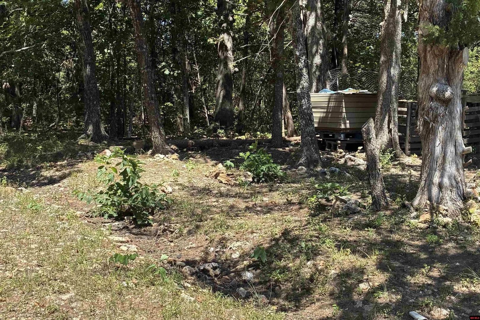 Lots & Land-Other in Henderson - Henderson, Arkansas, 72544